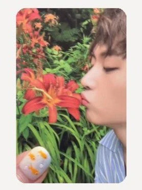 [ONLY PHOTOCARD] ZEROBASEONE - CINEMA PARADISE THE 4TH MINI ALBUM PHOTOBOOK - Image 5